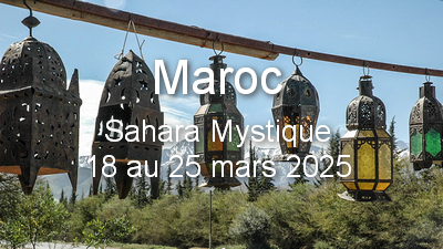 Sahara mystique 2025