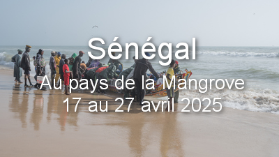 Senegal good one 2025