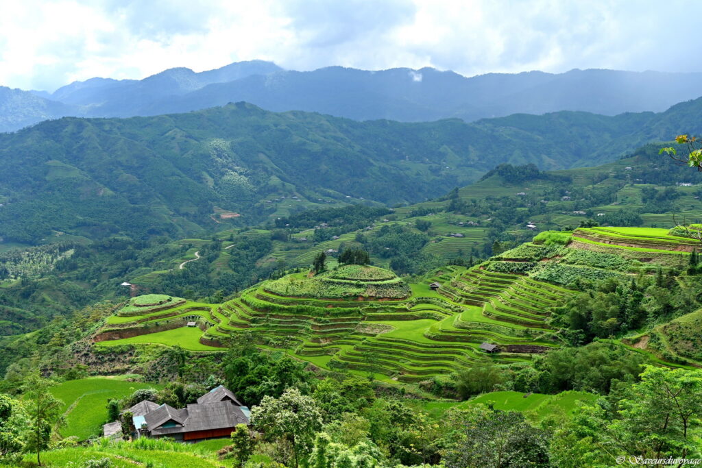 Vietnam (101)