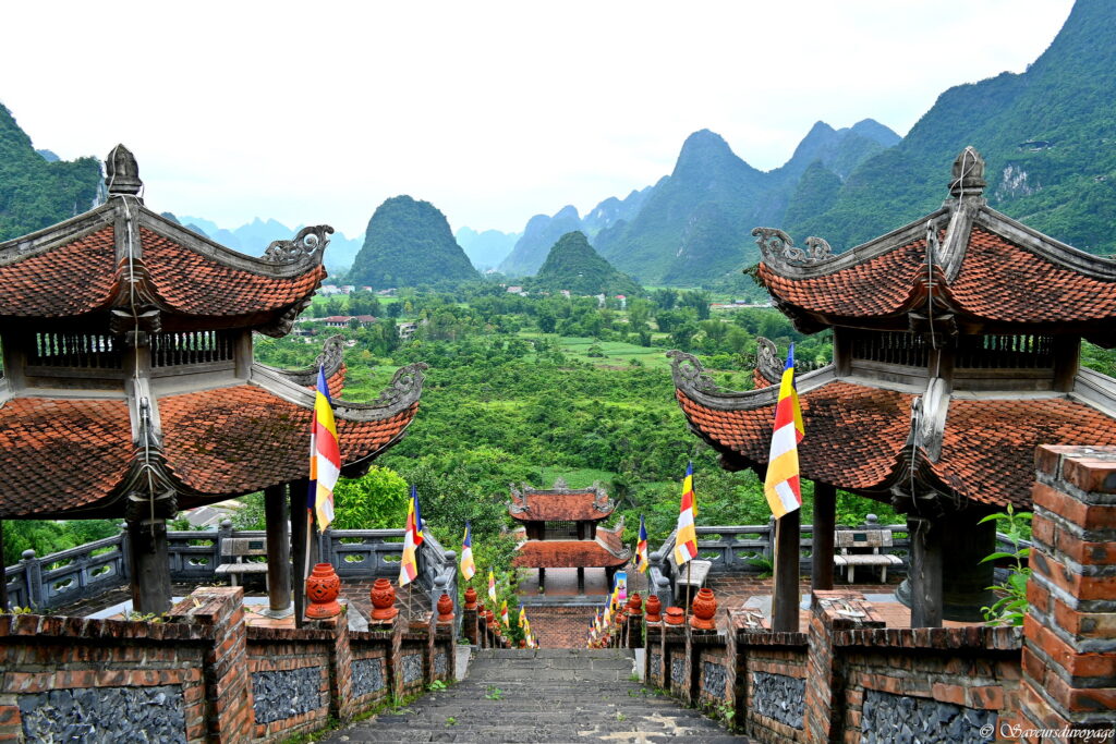 Vietnam (61)