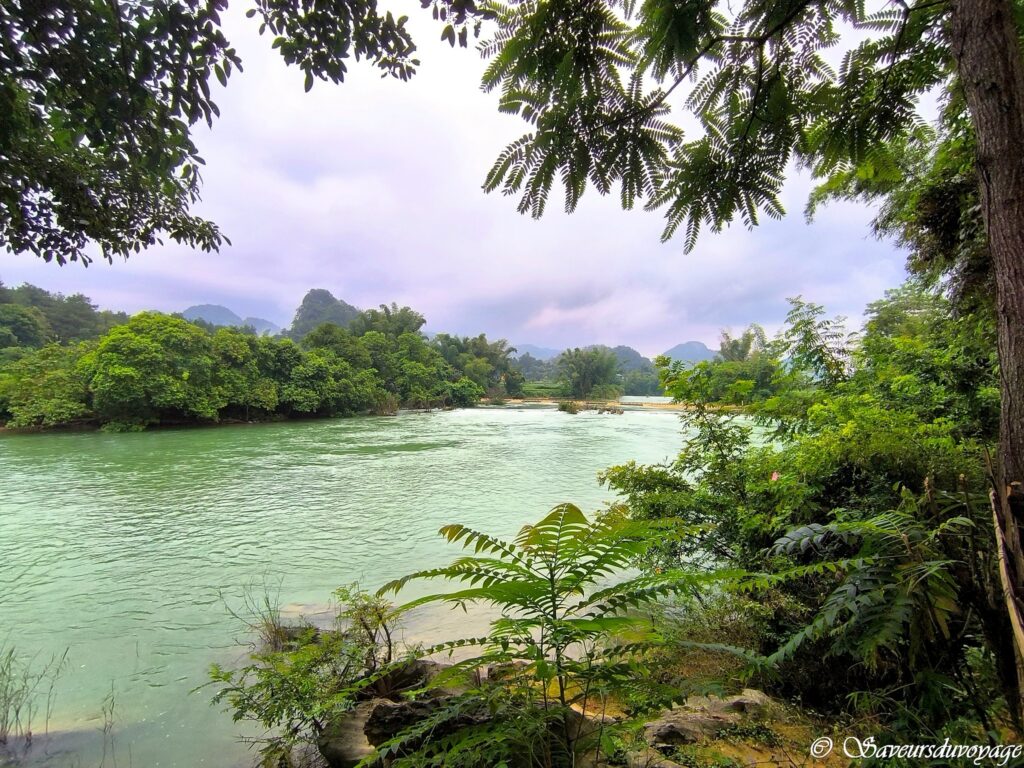 Vietnam (7)