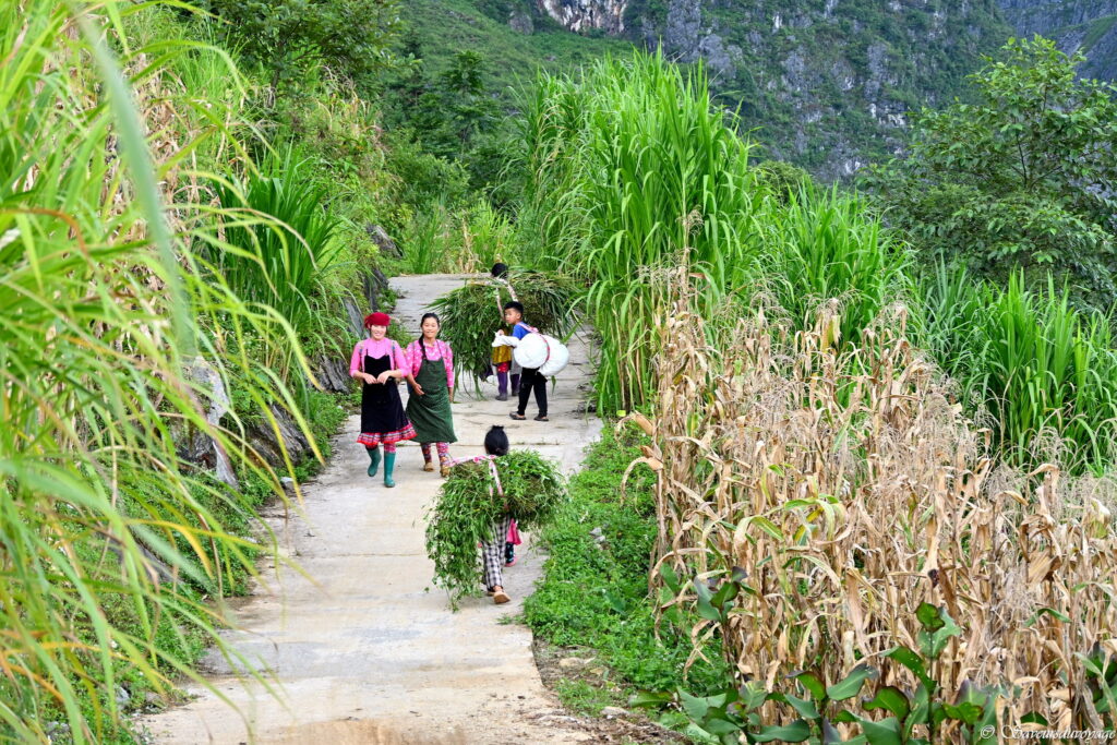 Vietnam (72)