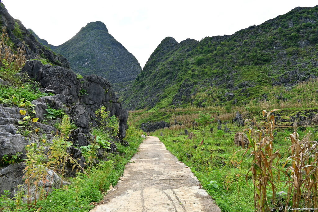Vietnam (73)