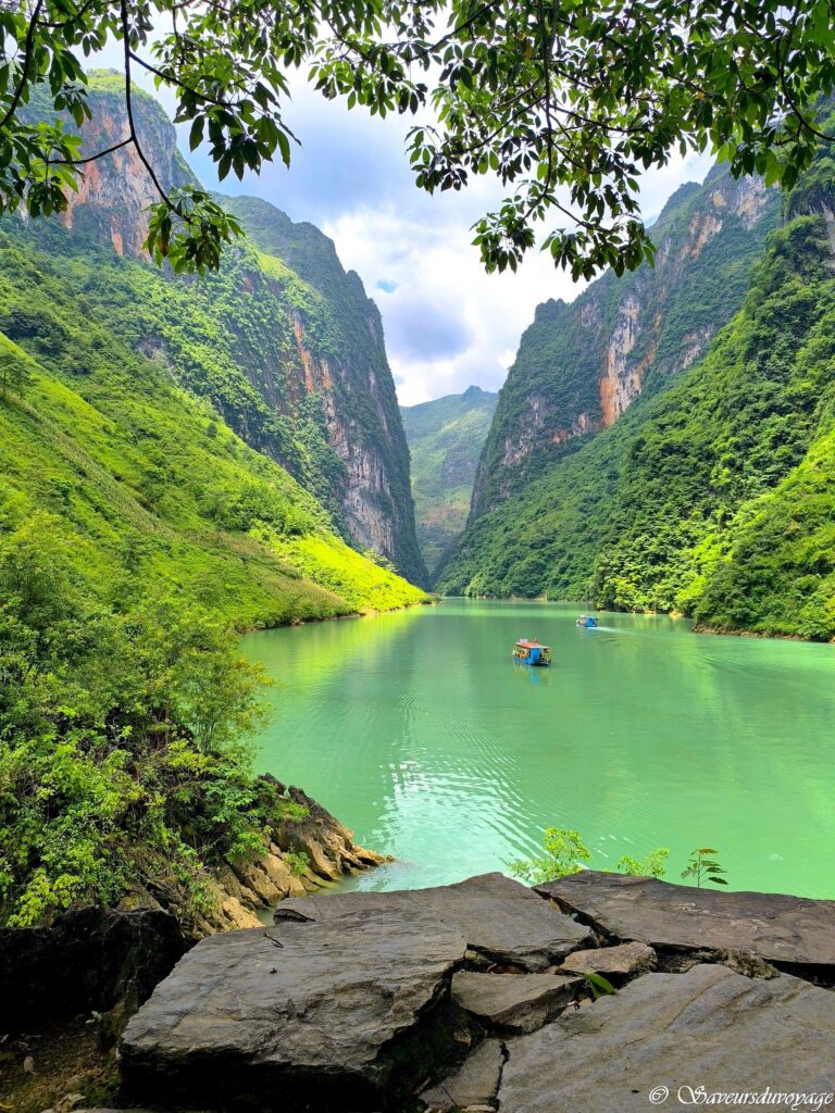 Vietnam (8)