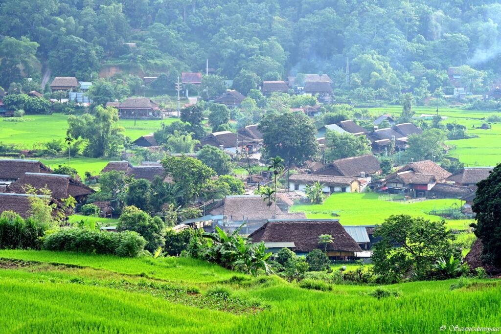 Vietnam (89)