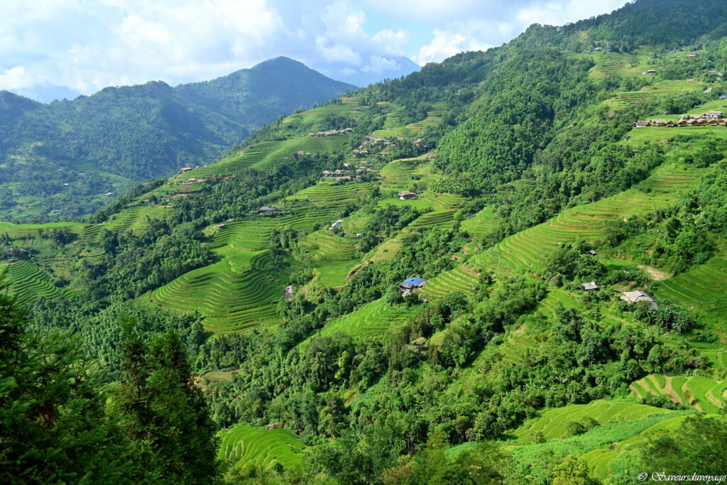 Vietnam (96)