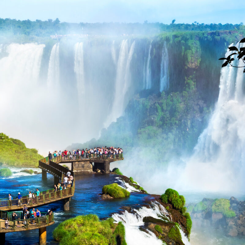 Argentine Iguazu