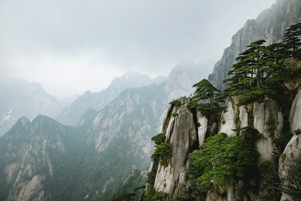 joshua-earle-o_vA2F_HGaE-unsplash